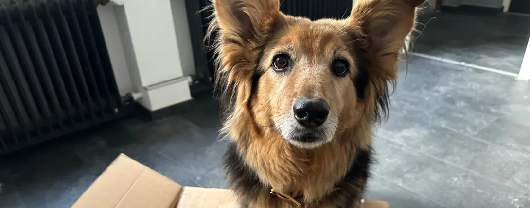 Maiwald Veranstaltungstechnik Stuttgart und Ludwigsburg